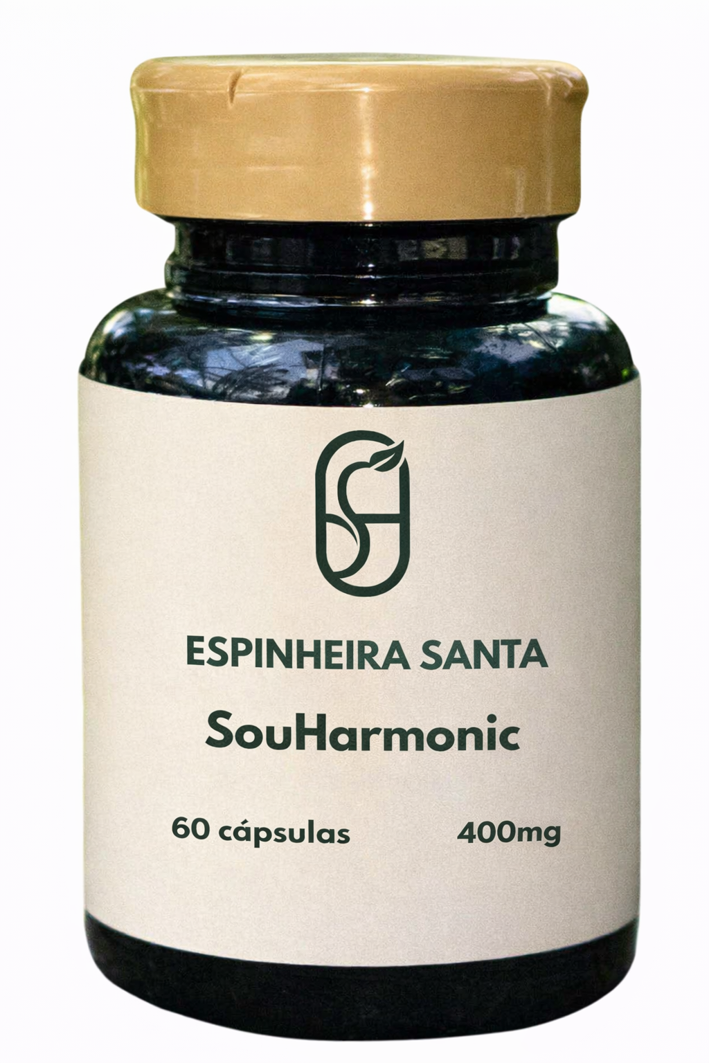 Espinheira Santa
